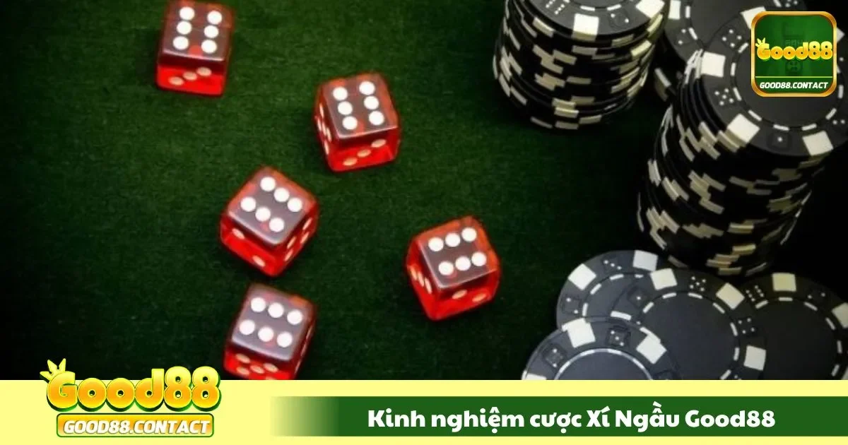 Kinh nghệm chơi cược xí ngầu đỉnh chóp